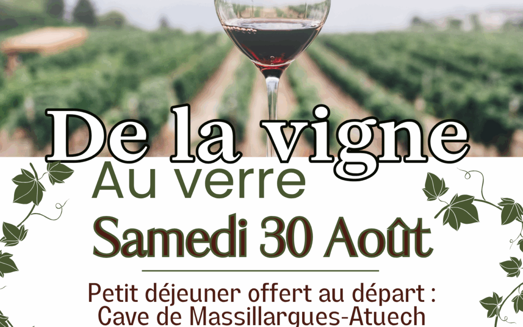 RANDONNEE GUIDEE AU COEUR DES VIGNES LE 30 AOUT AVEC LE FR TORNAC
