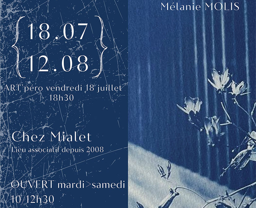 Chez Mialet : Expo Cyanotypes – Mélanie Molis