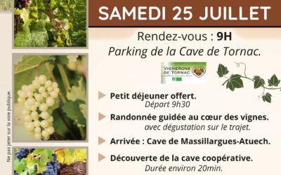 RANDONNEE “DE LA VIGNE AU VERRE” LE 25 JUILLET 2026 AVEC LE FR TORNAC